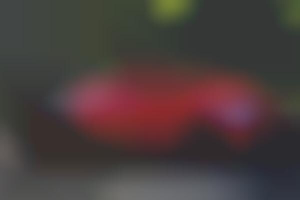Honeycomb Windshield Supercars