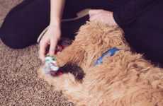 GPS-Enabled Pet Collars