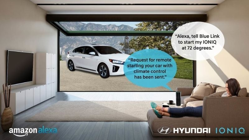 Voice-Activated Vehicle Controls