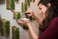 Interactive Organic Dinner Parties Image 2