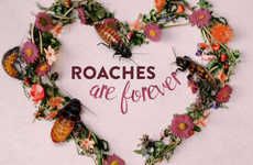 Romantic Cockroach-Naming Campaigns