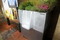 Plant-Fertilizing Urinals Image 3