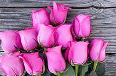 Monthly Flower Delivery Services