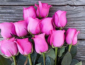 Monthly Flower Delivery Services