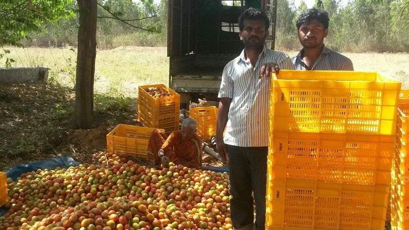 Agricultural-Business Connection Platforms