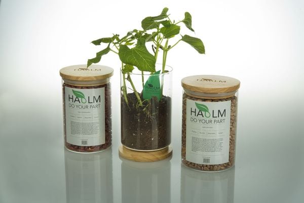 25 Examples of Sustainable Food Packaging