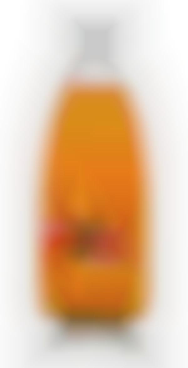 Preservative-Free Fruit Sodas