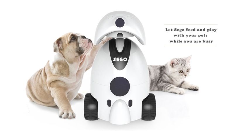 Robotic Pet Companions