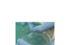 3D-Printed Skin