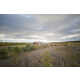 Buried Icelandic Landhouses Image 4