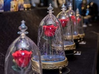 Fairy Tale Rose Speakers Image 2