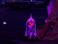 Fairy Tale Rose Speakers Image 4