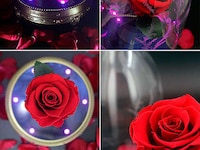 Fairy Tale Rose Speakers Image 6