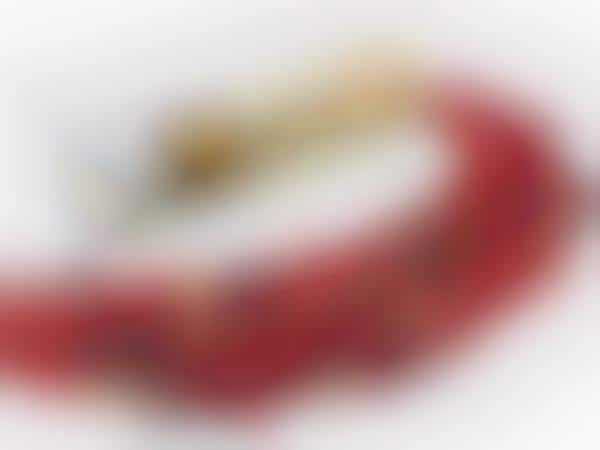 Freeze-Dried Fruit Tubes