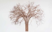 Sprouting Furniture Exhibits Image 2