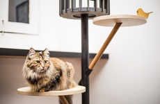 Feline Furniture Design Shows