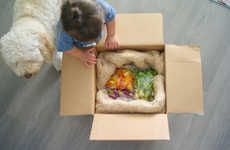 DIY Baby Food Deliveries