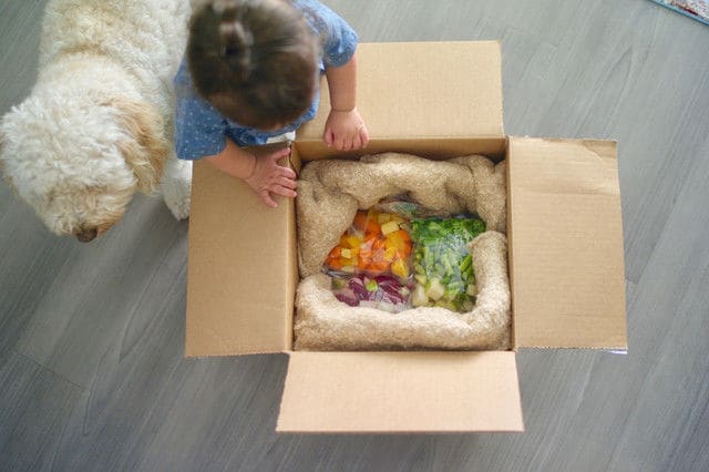 DIY Baby Food Deliveries