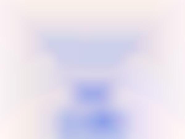 Organizational Reflection Chatbots