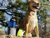 Rugged Travel Dog Bowls Image 6