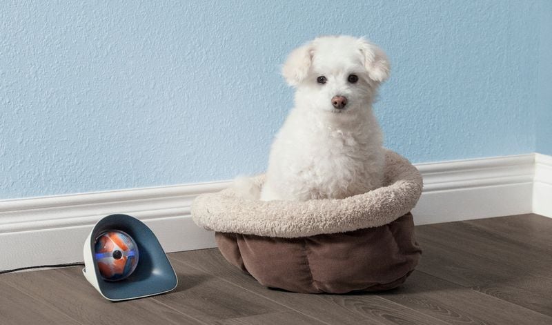 Interactive Robotic Pet Sitters