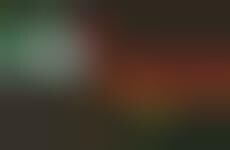 Exotic Twist Wing Flavors