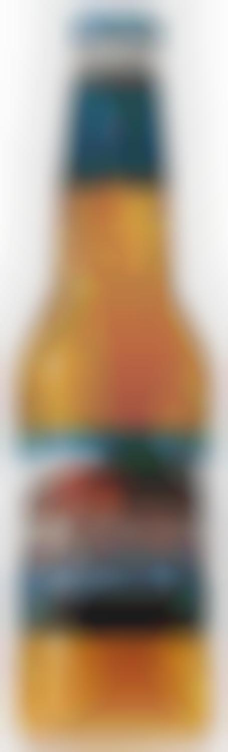 Seasonal Fruit Flavor Beers