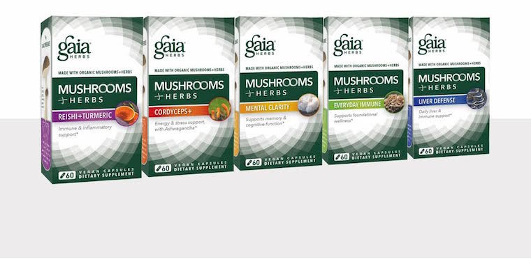 Mushroom Superfood Supplements