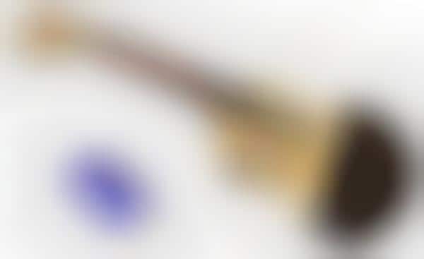 Intelligent String Instruments