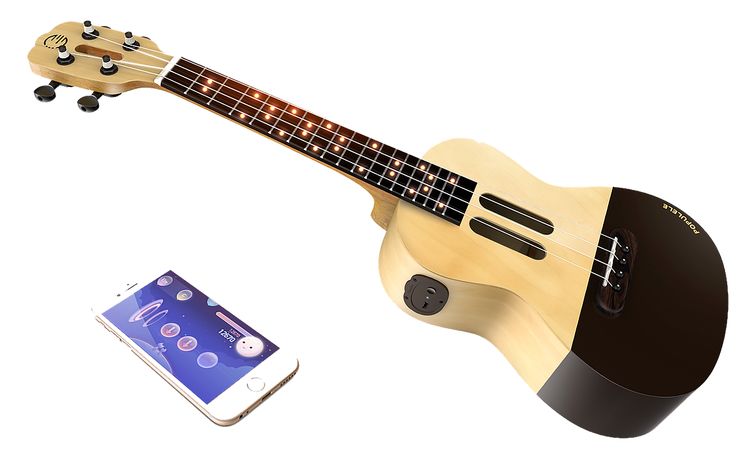 Intelligent String Instruments