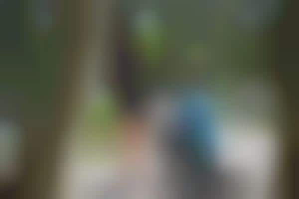 Paparazzi Proposal Services
