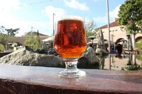 Wastewater-Brewed Beers Image 3