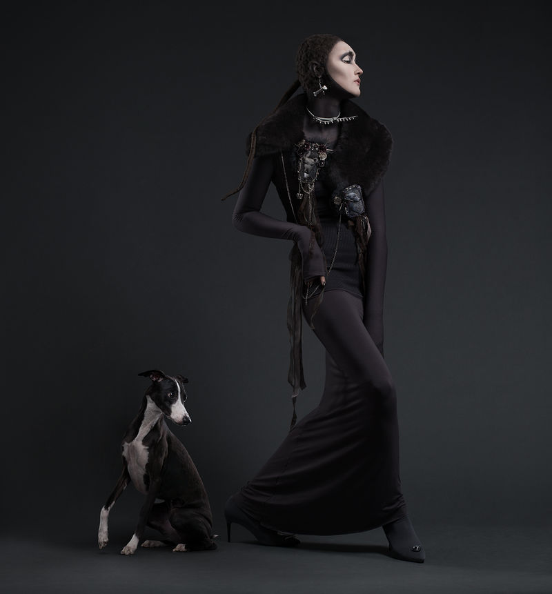 Lookalike Pet Photoshoots