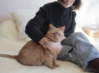 Cat Hair Timepieces Image 2