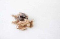 Cat Hair Timepieces Image 8