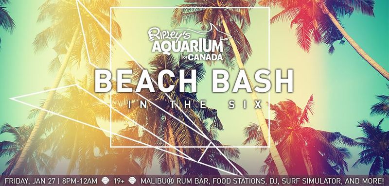 Pop-Up Aquarium Nightclubs