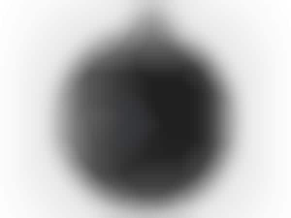 Wide-Angle Surveillance Cameras