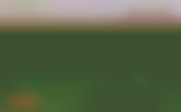 Green Burial Services