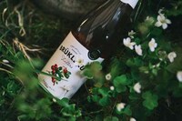 Baltic Fruit-Flavored Sodas Image 3