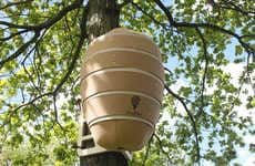 Urban Honey Bee Hives