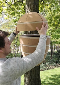 Urban Honey Bee Hives Image 2
