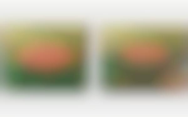 Olive Oil-Infused Butters