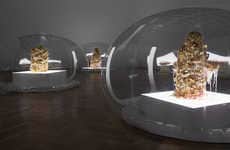 Bacterial Art Installations