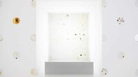 Bacterial Art Installations Image 2