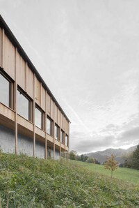Perched Larch-Clad Homes Image 2