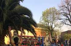 Mini Fitness Festivals