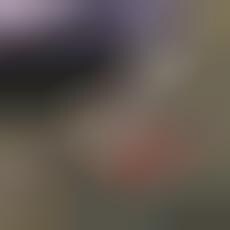 sneakerhead subscription box