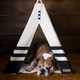 Handmade Teepee Pet Houses Image 4