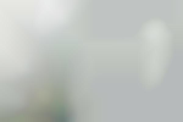 Automated Aftermarket Window Devices