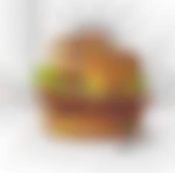 New York Bagel Burgers